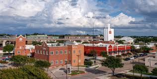 Artificial grass in Carrollton, TX